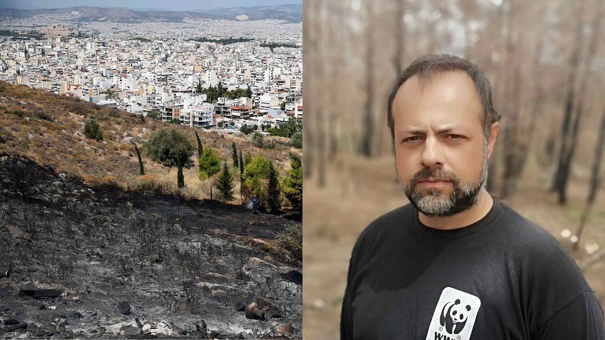 Firefighters damp-down an area after a wildfire on a hill in the eastern Athens suburb of Vironas on Wednesday, Aug. 28, 2019. / Elias Tziritis of WWF Greece